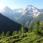 Bietschhorn Rosswald * Termen
