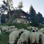 Bietschhorn Rosswald Termen