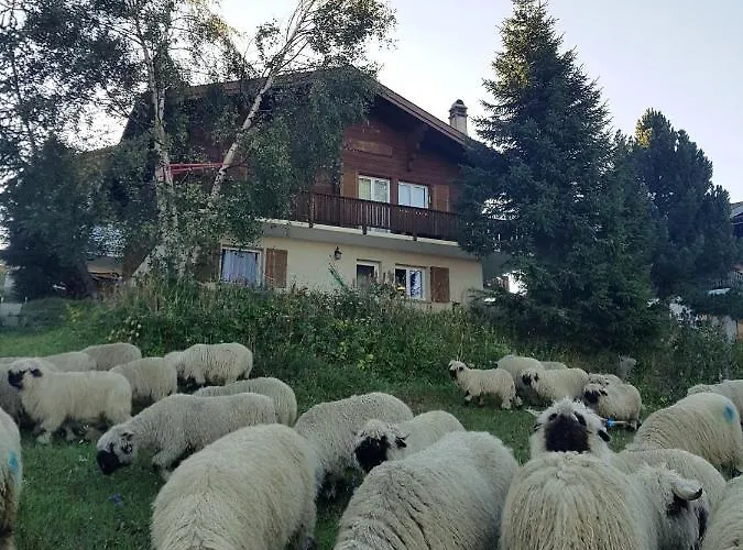 Bietschhorn Rosswald Termen
