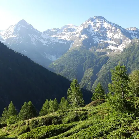 Bietschhorn Rosswald * Termen