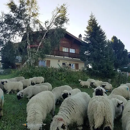 Bietschhorn Rosswald Termen